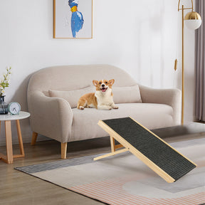 Dog ramp for a couch