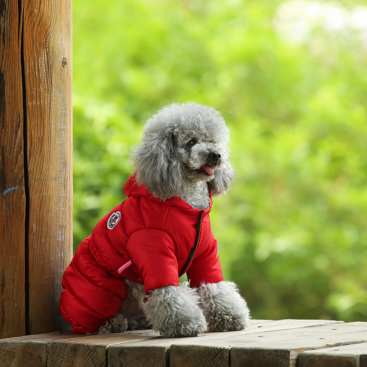 Furryking Dog  Jacket