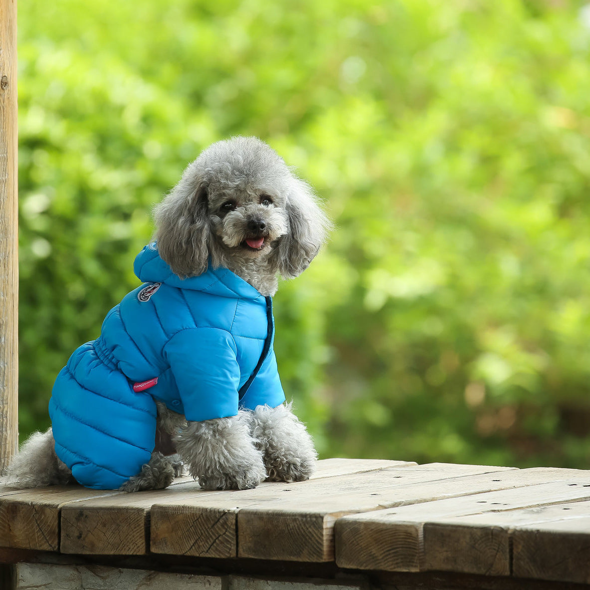 Furryking Dog  Jacket