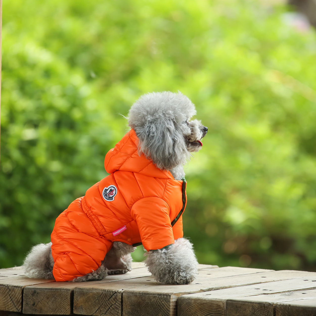 Furryking Dog  Jacket