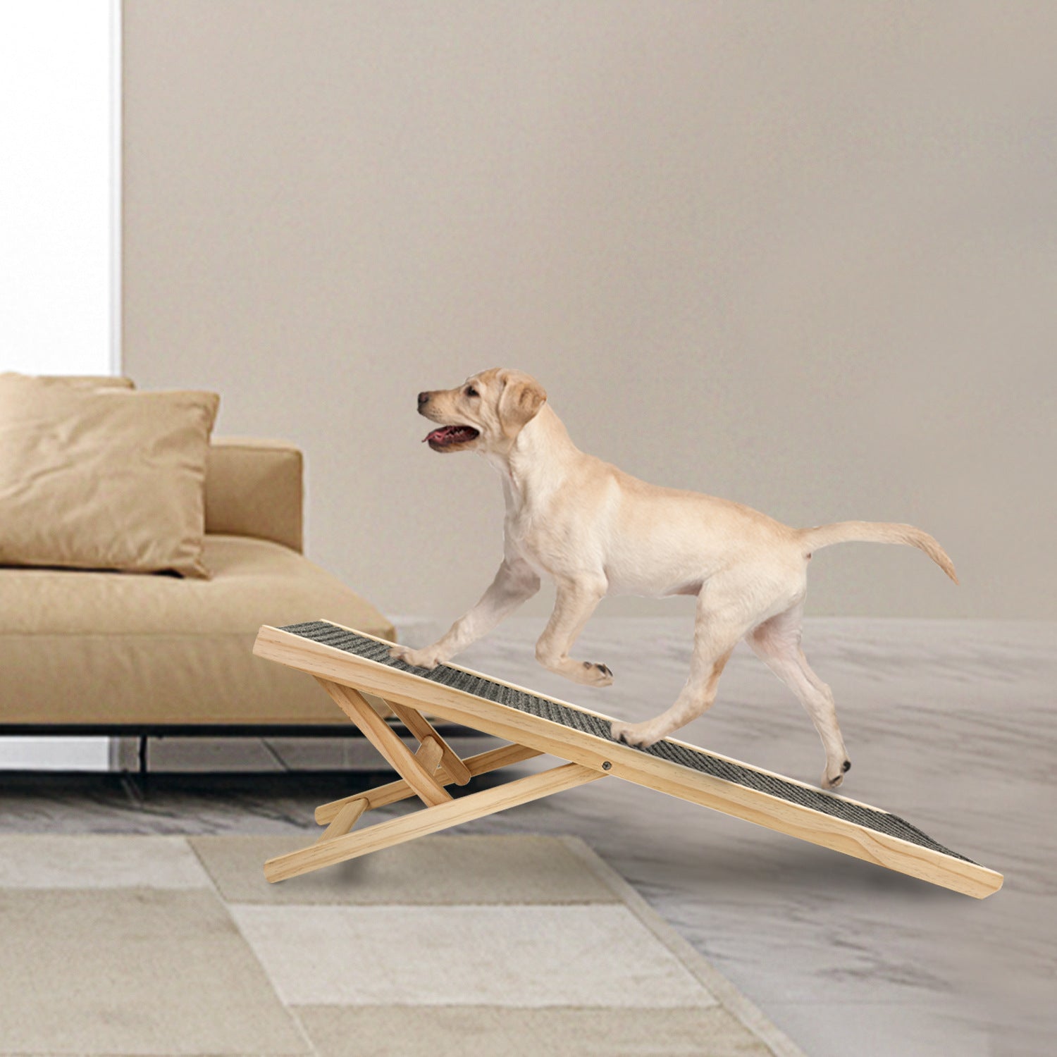 Dog ramp for a couch